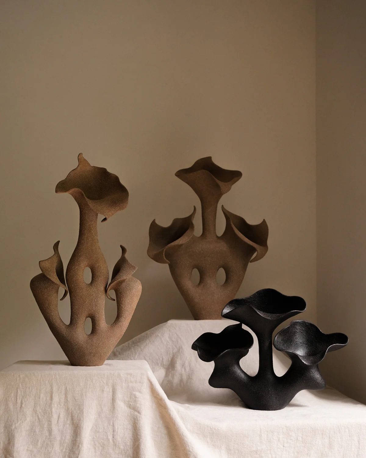 Coarse Tale - Image 3