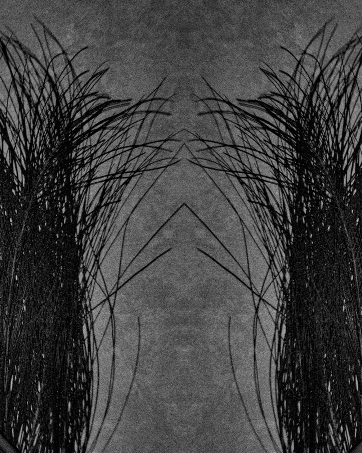 Sustinēre - Image 3