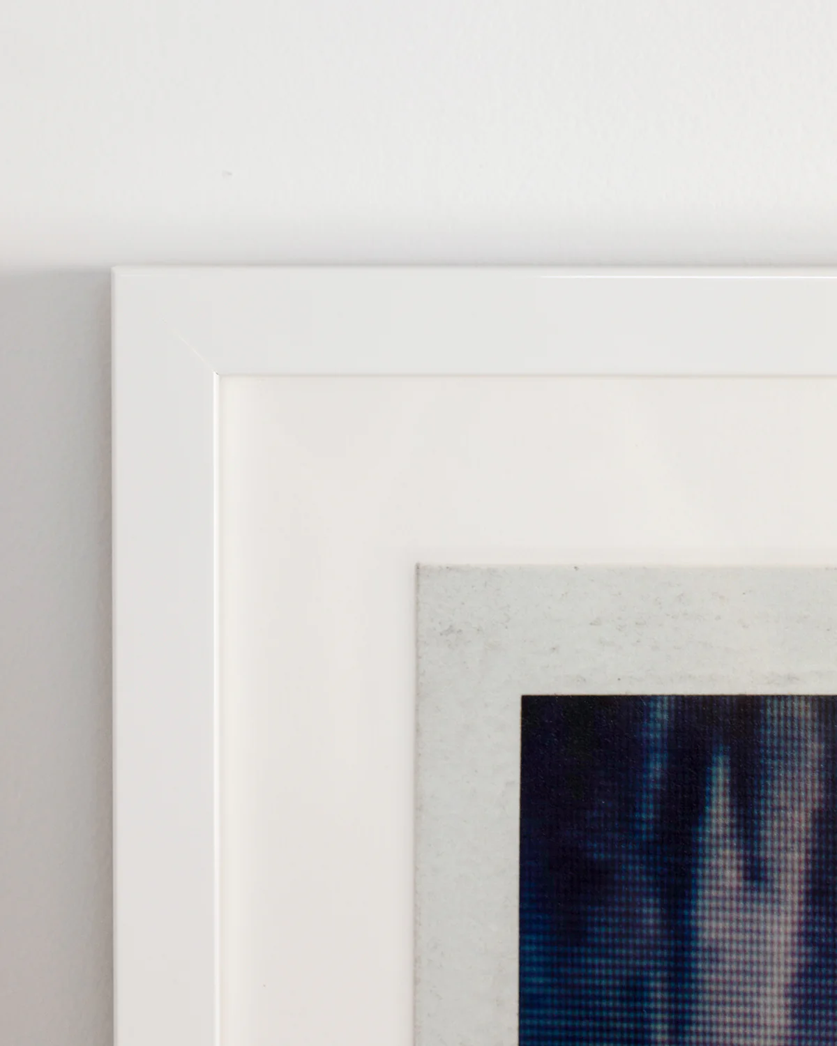 Wrapped in White - Image 4